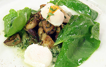 Sautierte Steinpilze auf Salat und Creme vom Blattspinat mit pochiertem Wachtelei