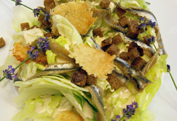 Caesar Salad mit Parmesanchips