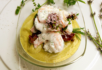 Avocadocreme mit Shrimps und Eichblattsalat