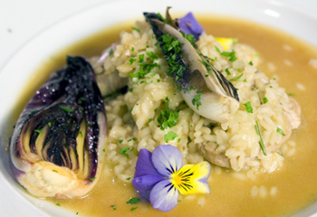 Schweinsfiletrisotto mit braisiertem Radicchio di Treviso Schweinsfiletrisotto mit braisiertem Radicchio di Treviso