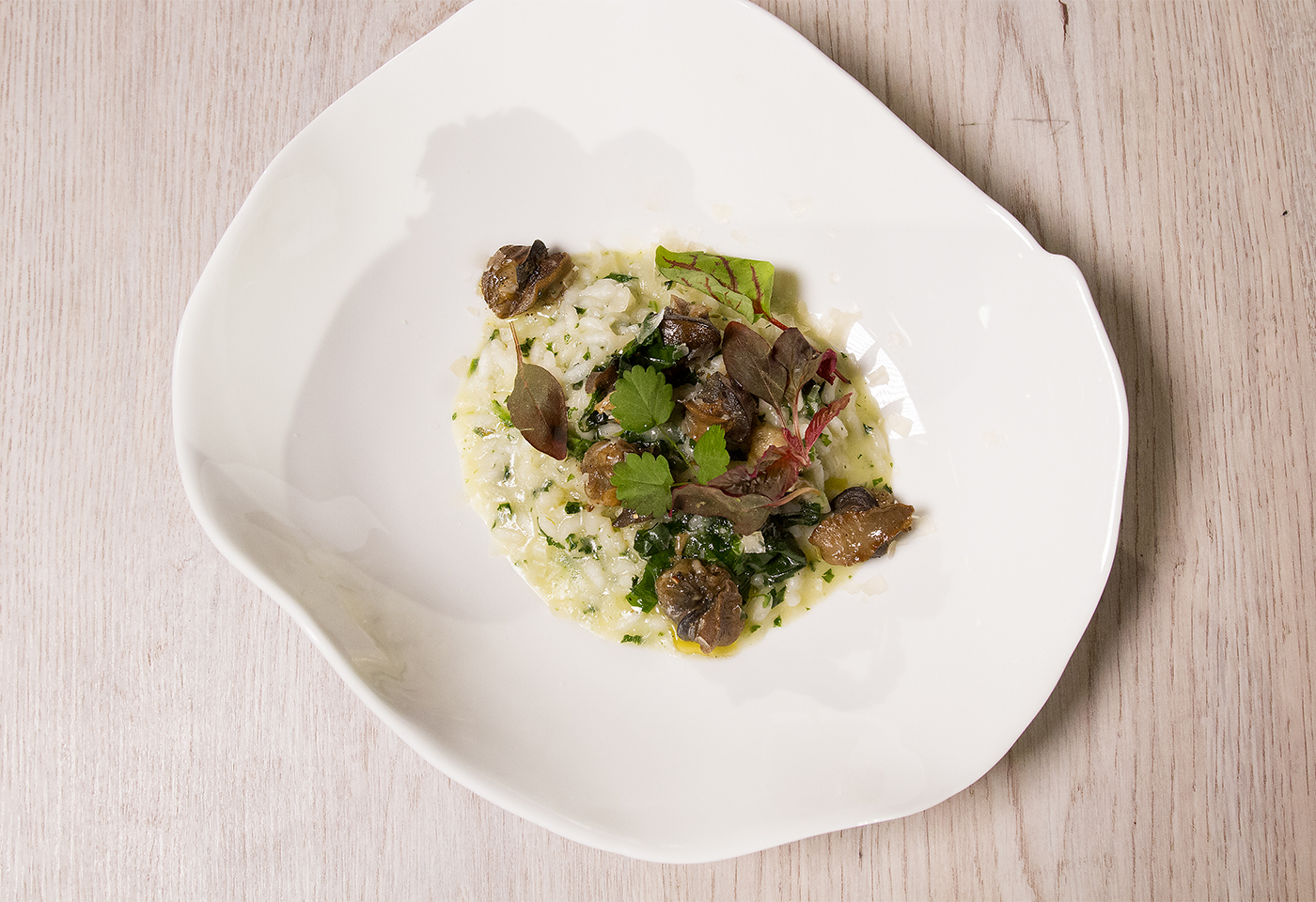 Risotto mit Frühlingskräutern und Schnecken | Frisch Gekocht