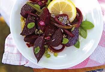 Warmer Rote-Rüben-Salat Foto: © Alexi Pelekanos