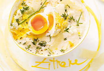 Zitronenrisotto mit Zitronen-Hollandaise und pochiertem Ei Foto: © Gunda Dittrich & Bernadette Wörndl