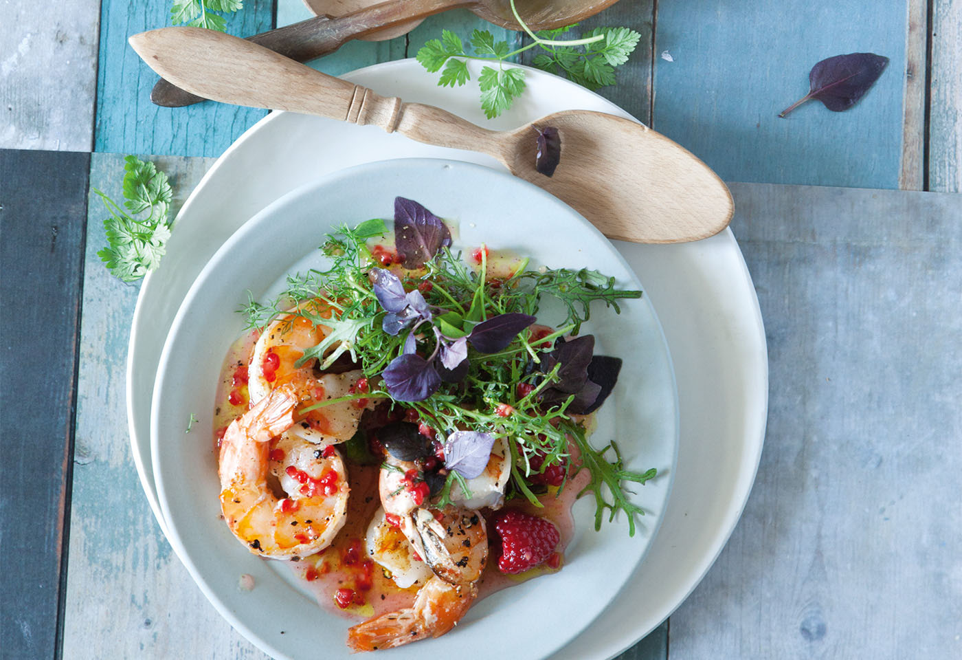 Garnelen mit Kräutersalat und Himbeervinaigrette | Frisch Gekocht