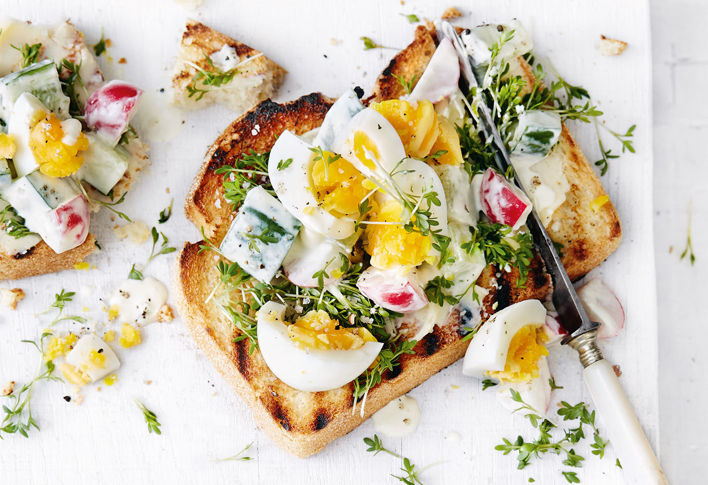 Toast mit Eier-Radieschen-Salat und Kresse | Frisch Gekocht