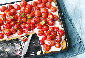 Erdbeer-Blechkuchen mit Topfencreme Foto: © Wolfgang Schardt