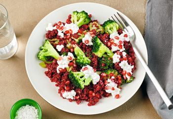 Lauwarmer Quinoa-Brokkoli-Salat mit Granatapfel und Cottage Cheese Foto: © Kevin Ilse