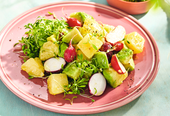 Erdäpfel-Avocado-Radieschen-Salat Foto: © StockFood