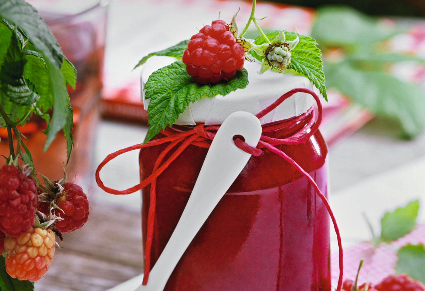 Passierte Himbeermarmelade mit Vanille | Frisch Gekocht