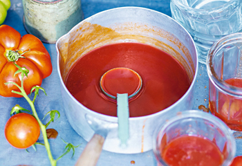 Tomatenmarmelade mit Zitrone und Vanille Foto: © StockFood