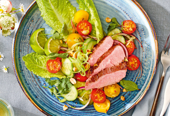 Thai-BBQ-Beef-Salat Foto: © Matthias Piket/Marian Inhouse-Agentur Thai-BBQ-Beef-Salat Foto: © Matthias Piket/Marian Inhouse-Agentur