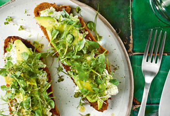 Green-Goddess-Toast mit Gurkenricotta, Avocado und Sprossen Foto: © Matthias Piket/Marian Inhouse-Agentur Green-Goddess-Toast mit Gurkenricotta, Avocado und Sprossen Foto: © Matthias Piket/Marian Inhouse-Agentur