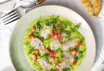 Goldbrassen-Ceviche mit Gurkencreme und Erdbeeren Foto: © Matthias Piket/Marian Inhouse-Agentur