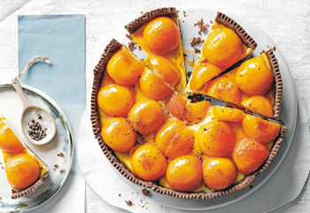 Ricotta-Tarte mit karamellisierten Marillen Foto: © StockFood