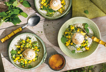 Kokos-Chia-Pudding mit Mango-Gurke-Kräuter-Salat Foto: © Elke Gebeshuber/Marian Inhouse-Agentur Kokos-Chia-Pudding mit Mango-Gurke-Kräuter-Salat Foto: © Elke Gebeshuber/Marian Inhouse-Agentur