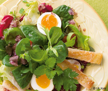 Kräuter-Blattsalat mit Brotsticks
