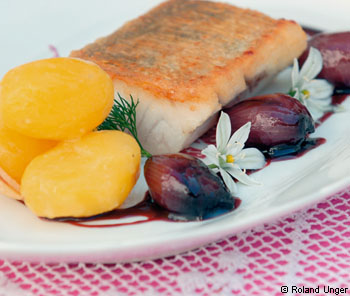 Neusiedler-See-Zander mit Früherdäpfeln und Rotweinschalotten